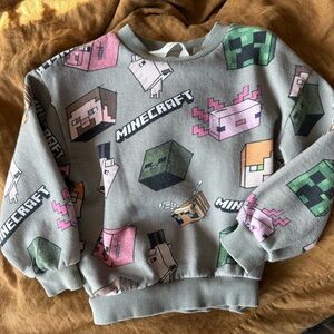 Minecraft Graphic Sweatshirt